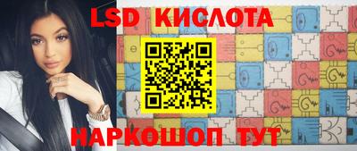 spice Донецк