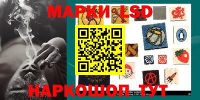 гидропоника Дубна