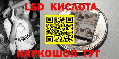 гидропоника Дубна