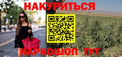 гидропоника Дубна