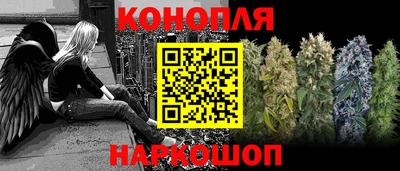 альфа пвп Волгодонск