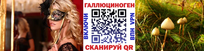 Галлюциногенные грибы мицелий  Камень-на-Оби 