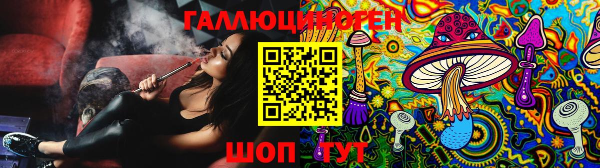 Галлюциногенные грибы прущие грибы  Псилоцибиновые грибы Psilocybe  Вход с VPN  Камень-на-Оби 