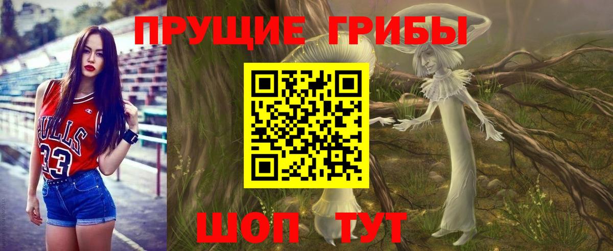 Галлюциногенные грибы мухоморы Камень-на-Оби