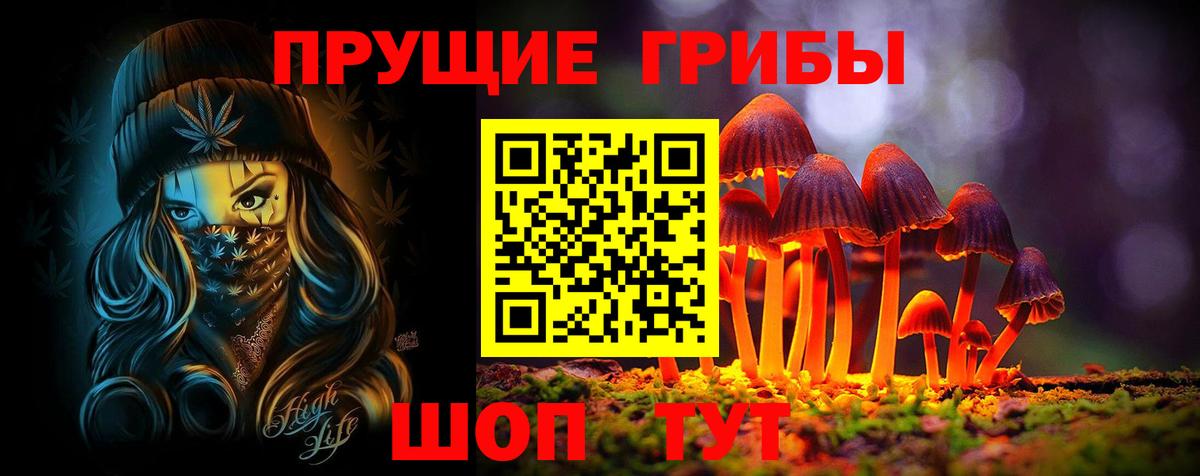 Псилоцибиновые грибы мицелий  Камень-на-Оби 